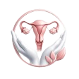 gyno